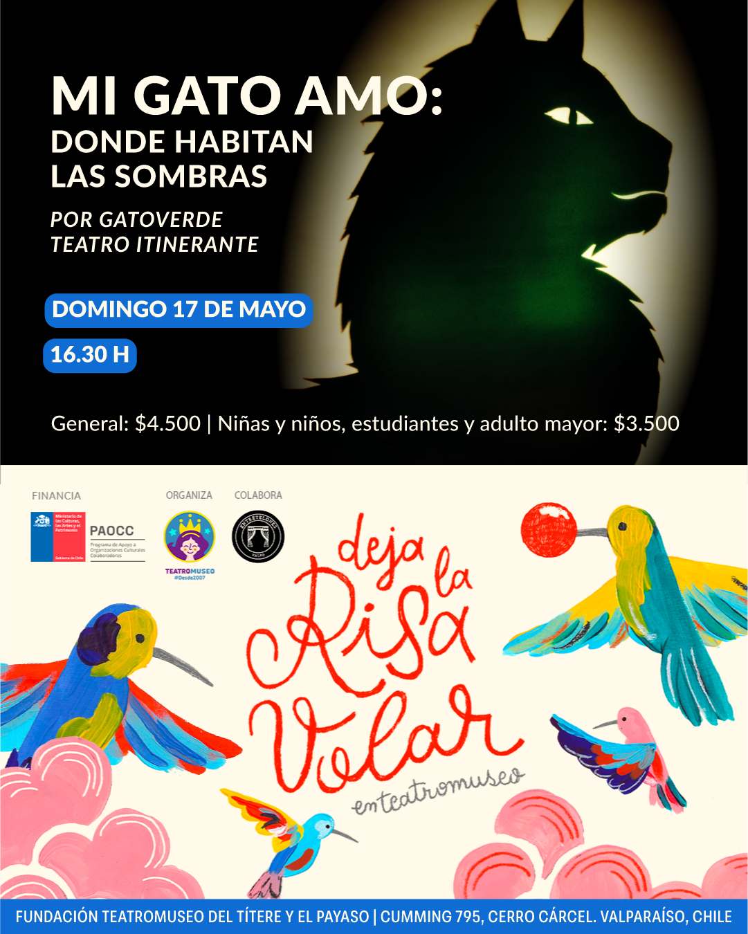 Mi Gato Amo: Donde habitan las Sombras